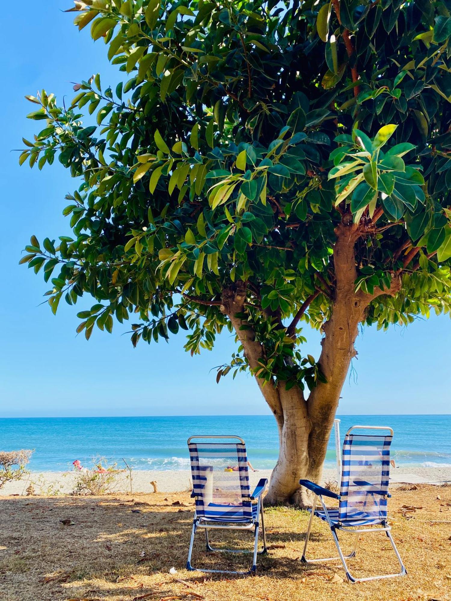 First Line Torrox Costa Apartment ภายนอก รูปภาพ